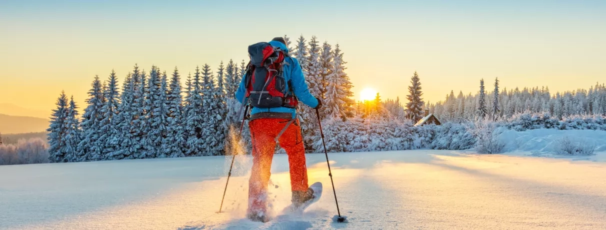 1 personne faisant ski de fond, neige, soleil