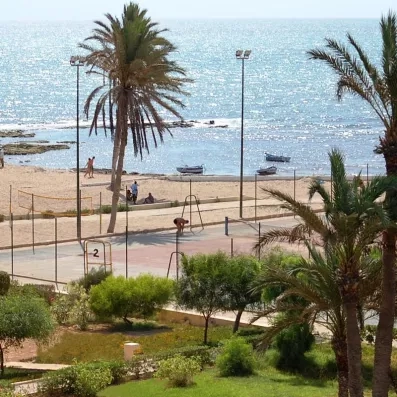 Terrains de sport extérieurs et palmiers bordant la plage pour des vacances actives à Djerba.