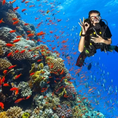 Femme pratiquant la plongée bouteille devant un récif de corail coloré au Mondi Club Stella Garden.