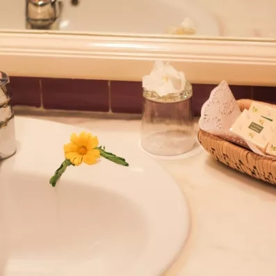 Détail de bienvenue avec fleurs fraîches et produits d'accueil sur le lavabo de l'hôtel Al Jazira.