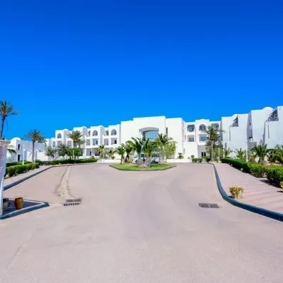 Façade principale blanche de l'hôtel Al Jazira entourée de jardins de palmiers sous un ciel dégagé.