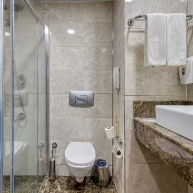 salle de bain avec douche et toilette