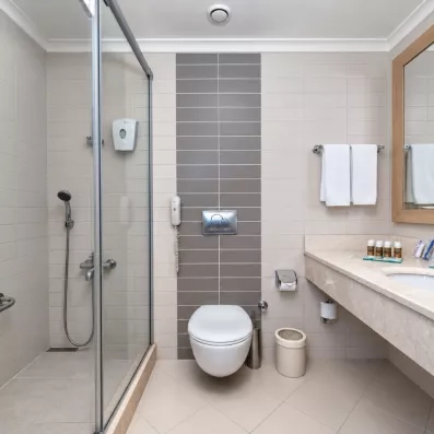 salle de bain avec toilette et douche