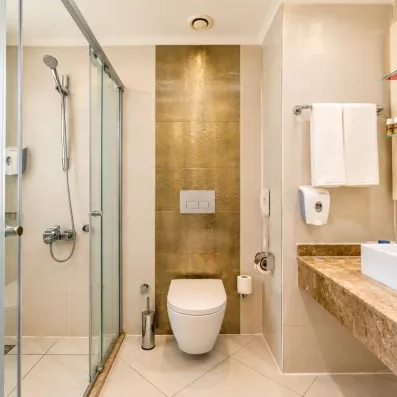 salle de bain avec douche et toilette 