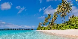 Plage paradisiaque avec palmier et mer turquoise