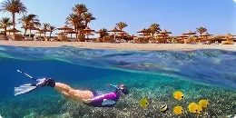 Plongeuse sous l'eau avec au loin la plage